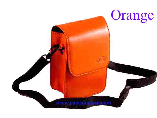 Leather Case